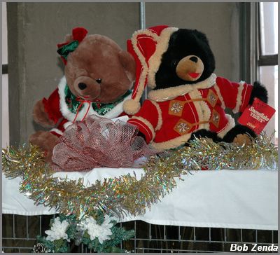 Decorated Cage